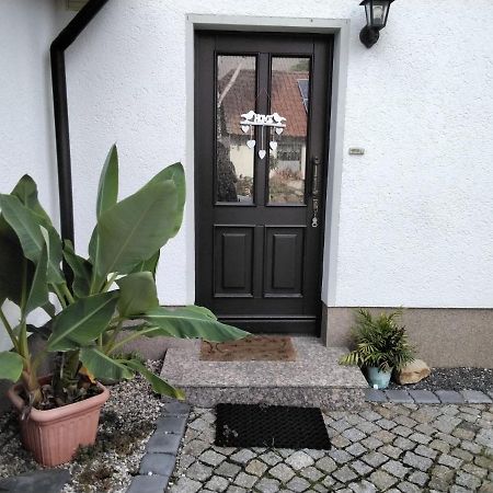 Ferienwohnung Pusteblume Groitzsch Exterior foto