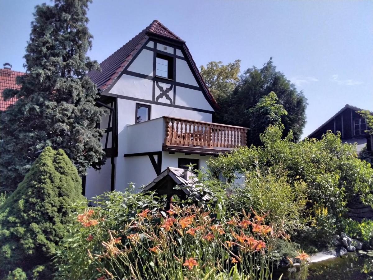 Ferienwohnung Pusteblume Groitzsch Exterior foto
