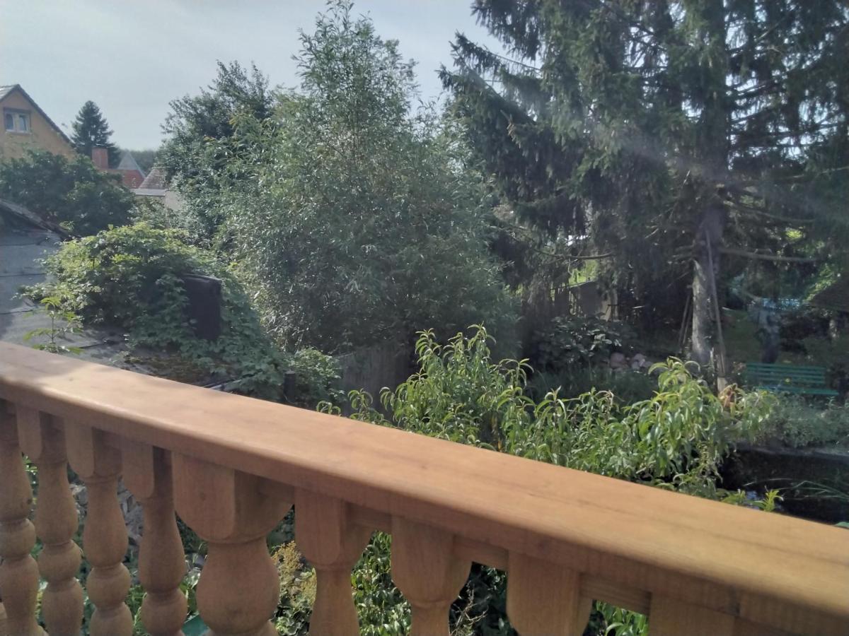 Ferienwohnung Pusteblume Groitzsch Exterior foto
